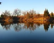 Still Waters.webp