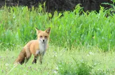 DSC00705(3).webp