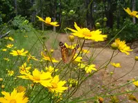 Mountain trip 002.webp