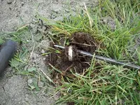 DSCN1106.webp