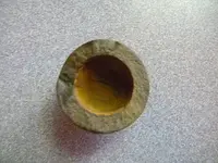 DSCN0639.webp