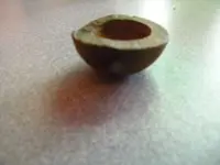 DSCN0640.webp