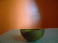 DSCN0641.webp