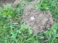 103_0883.webp