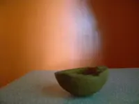 DSCN0642.webp
