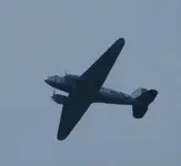 olsd buzzard.webp