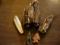 Finds 002.webp