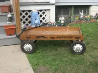 greyhound2.webp