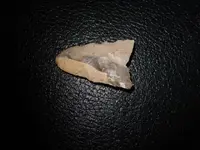 DSC01660.webp