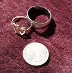 05_03_2010 Rings.webp