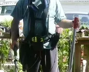 Harness2.webp