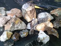 0810101838-01.webp