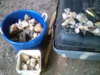 0810101839-00.webp