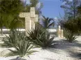 avatar_50071.webp
