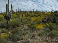 DSCN0300.webp