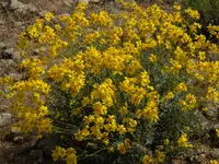 DSCN0301.webp