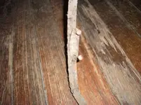 wagon wheel joint.webp