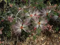 DSCN0303.webp