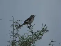DSCN0328.webp