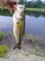 6-12-10SMALL.webp