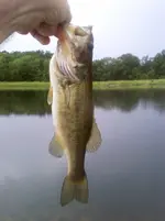 6-12-10 (2SMALL).webp