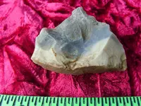 SNB12056.webp