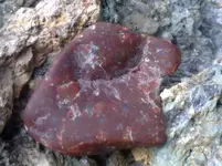 201008111068.webp
