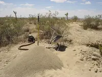 Drywasher.webp
