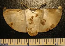 salt butterfly spout.webp