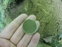 AUG  1ST CELLAR HOLES WITH GARY 1837 HT TOKEN 005 [].webp