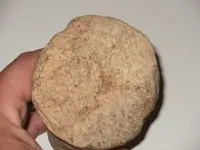 stone3.webp
