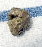 finds aug1st-4 bronze.webp