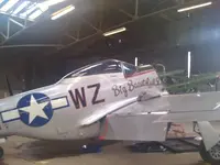 mustang a.webp