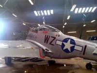 mustang f.webp