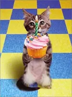 Birthday-kitty.webp
