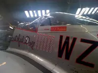 mustang d.webp