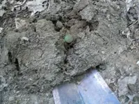 AUG  1ST CELLAR HOLES WITH GARY 1837 HT TOKEN 013 [].webp