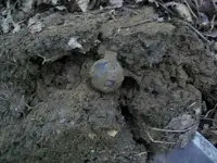 AUG  1ST CELLAR HOLES WITH GARY 1837 HT TOKEN 016 [].webp