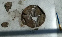 Round thingy1.webp