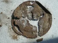 round thingy2.webp