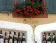 !cid_AB48016CD34B4CFCA5963774AE4DB5AE@AudreyPC.webp