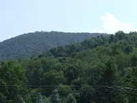 DSCF3671.webp