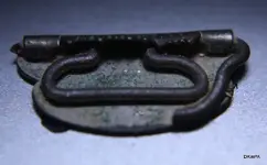 Buckle back.webp