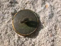 button 005.webp