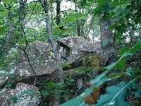 DSC07773 A.webp