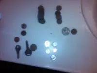 IMG00045-20100811-1744.webp