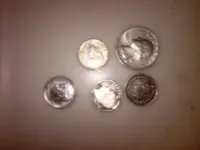 IMG00044-20100811-1744.webp
