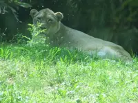 DSCF3368.webp