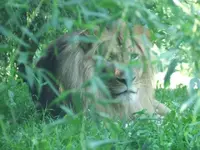 DSCF3373.webp