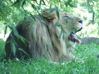DSCF3376.webp